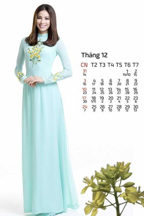 Hoa, á hậu Việt mặc gì mừng xuân Đinh Dậu? - 2