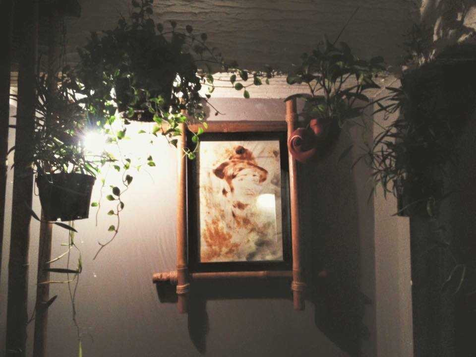 14717161_1164341377010426