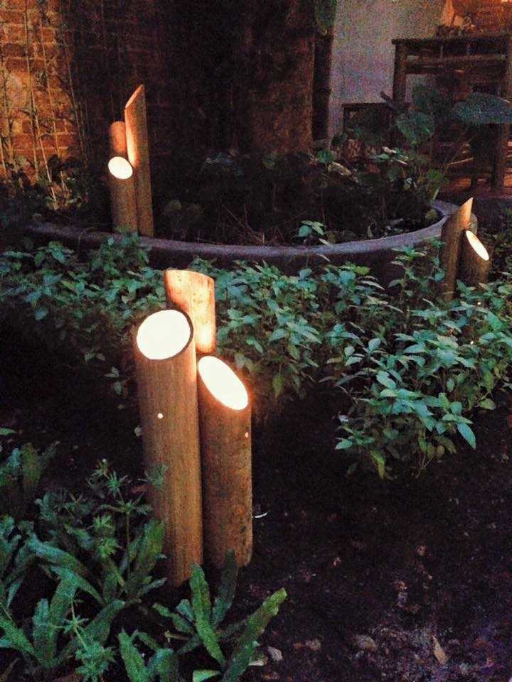 17264865_1164341480343749