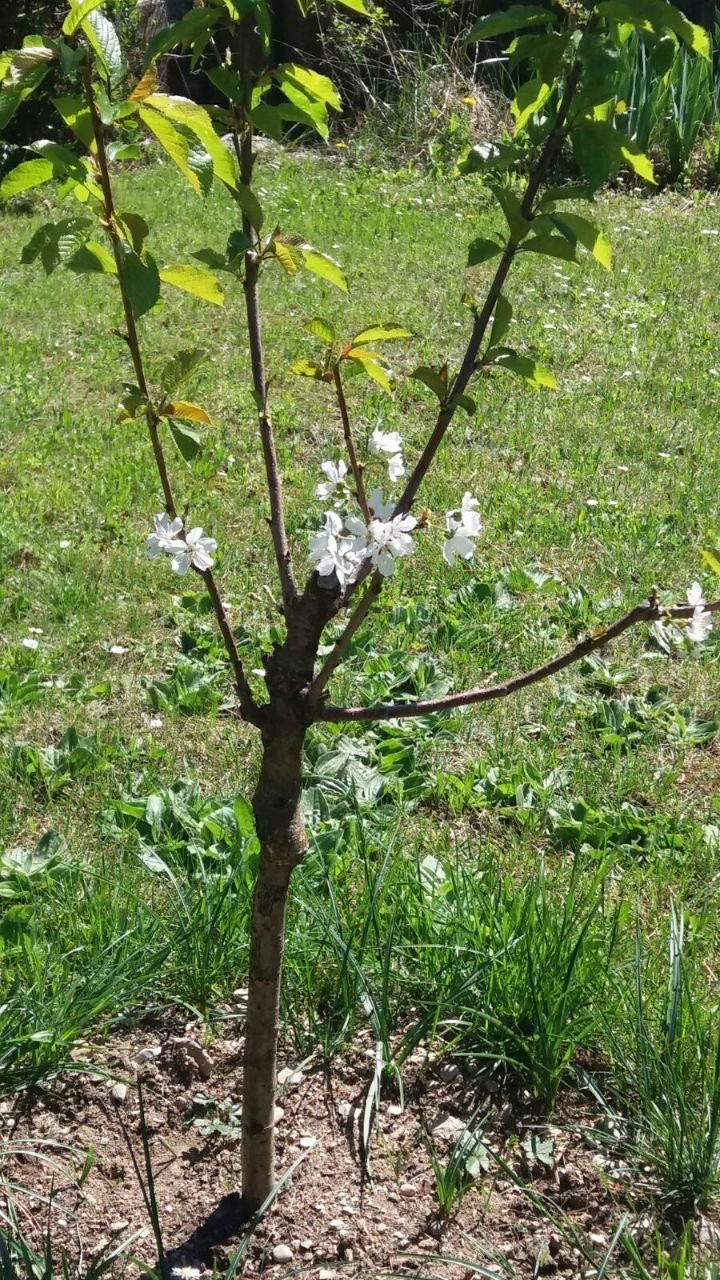 Hoa hậu Ngô Phương Lan lần đầu trải lòng về nỗi đau sảy thai ảnh 4