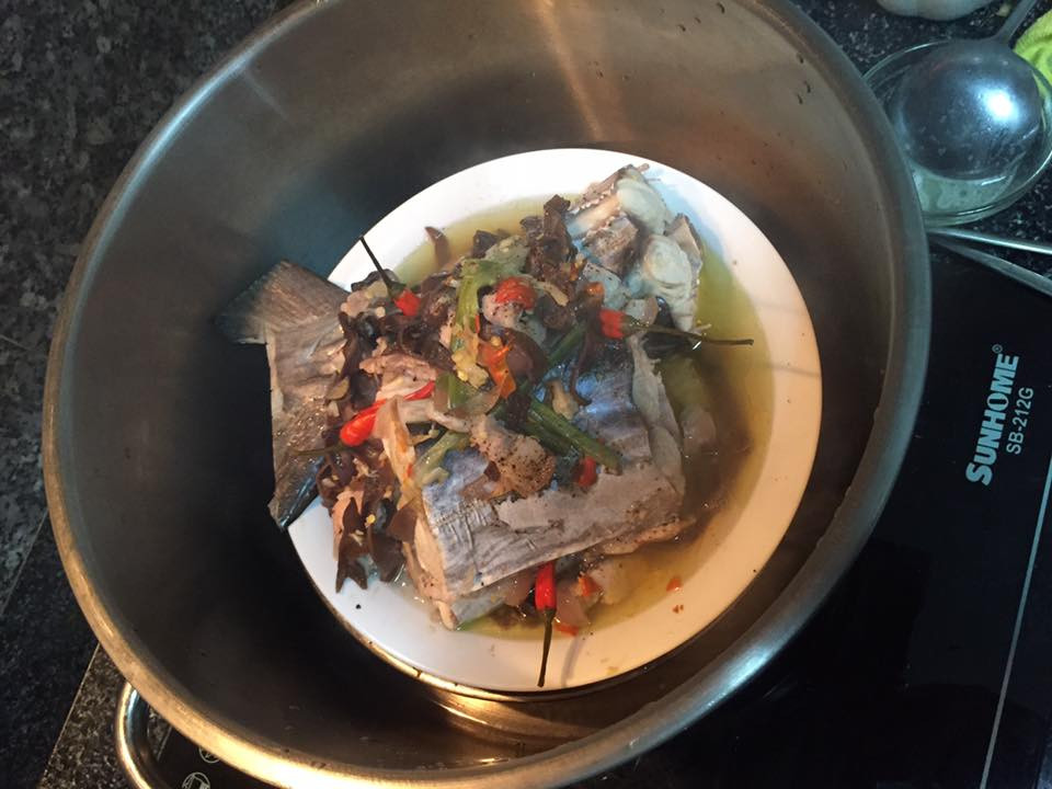 19958933_1285225821588647_4029944011759934430_n 6