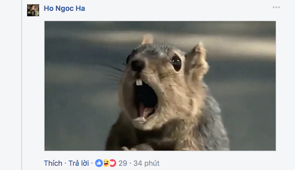 20839747_1805899339425215_98413701_o 7