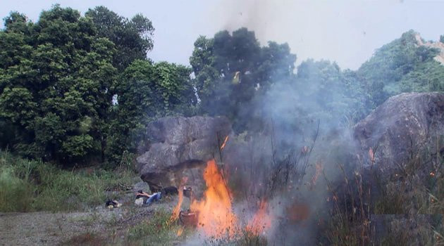 47-4-1504191204900-1504191660549-0015573 14