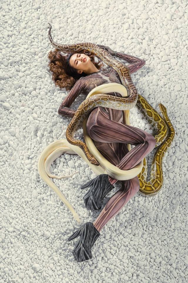 20229099_1688216967889382_5153283830782537852_n 8