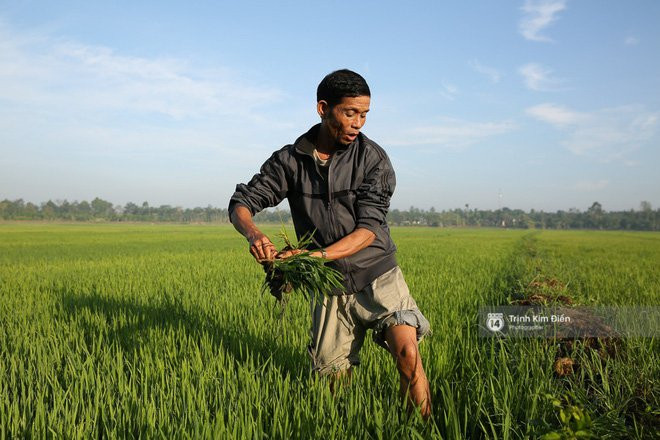 Bố HHen Niê vẫn tất bật với công việc làm ruộng, bốc vác dù con gái vừa đăng quang Hoa hậu Hoàn vũ - Ảnh 6.