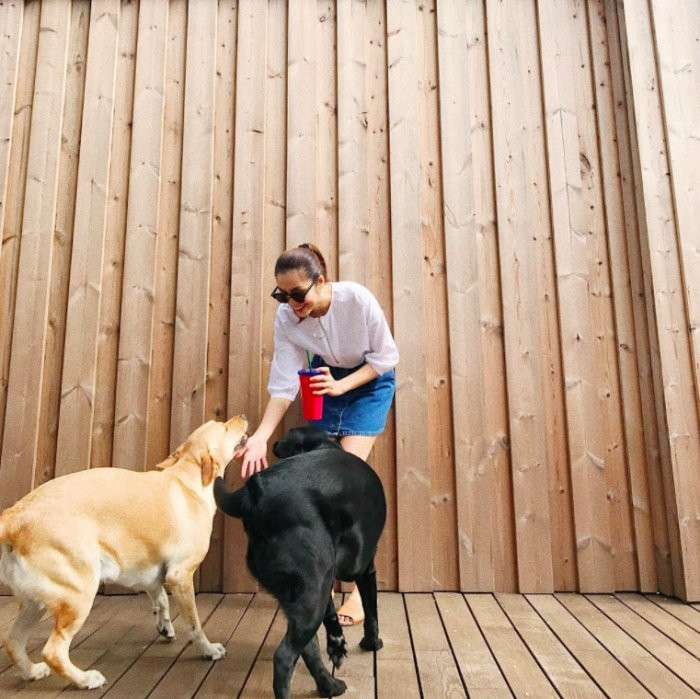 batch_hatang-13-1507537936172 17