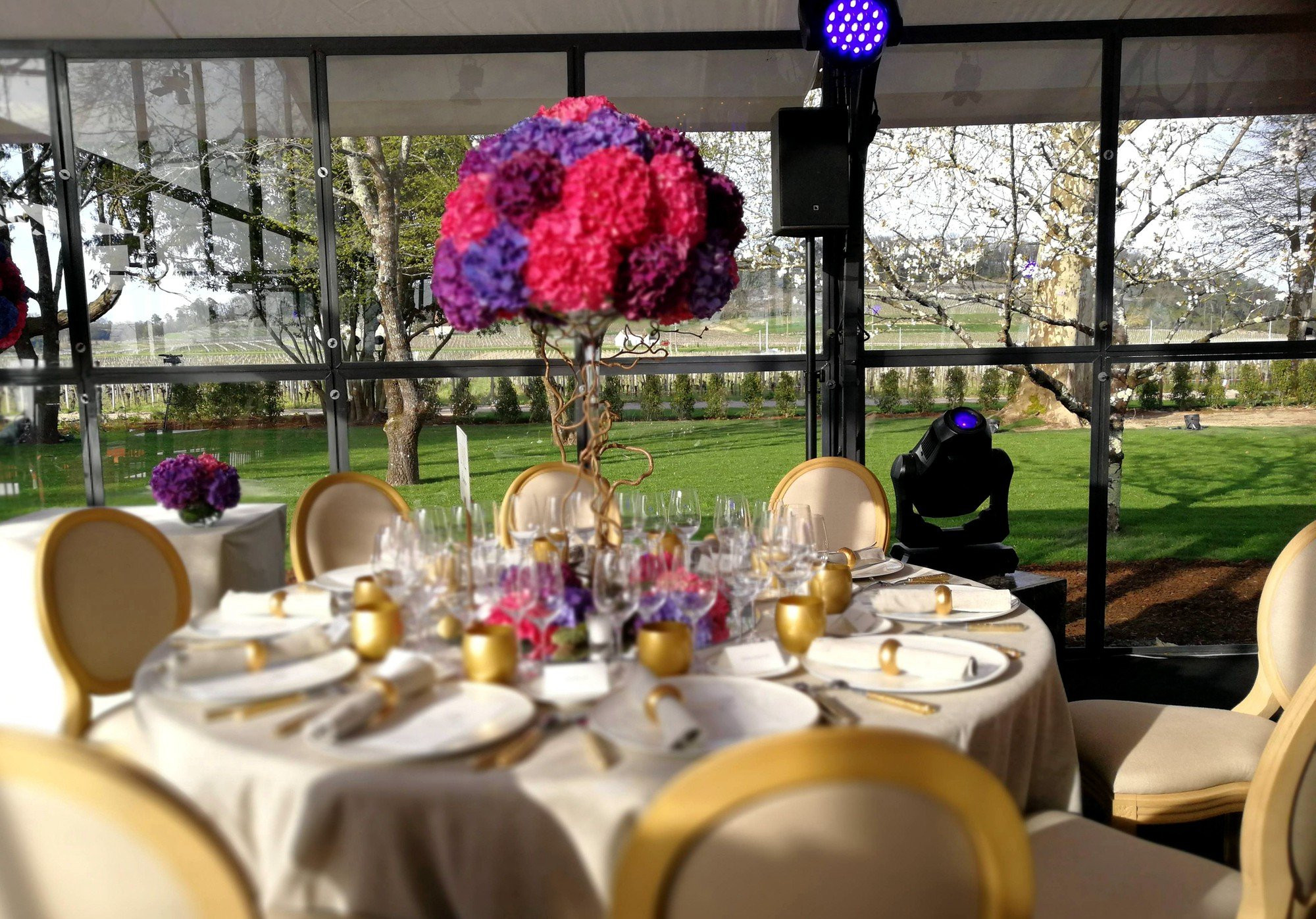 Triệu Vy mở đại tiệc xa hoa tại Pháp, dùng chuyên cơ riêng đưa đón khách mời VIP - Ảnh 9.