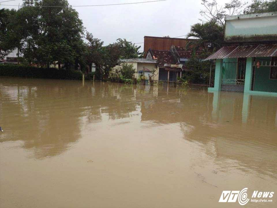 15415942_1806814209572655_740379778_n