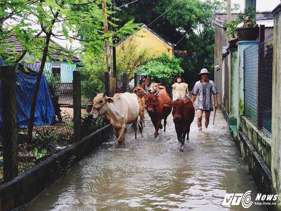 15591719_1209724085740713_2053066185_n