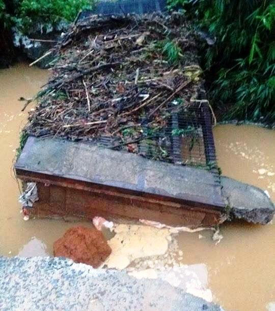 19251271-1419378474764051-1152035575-n-1499051879012 (1)