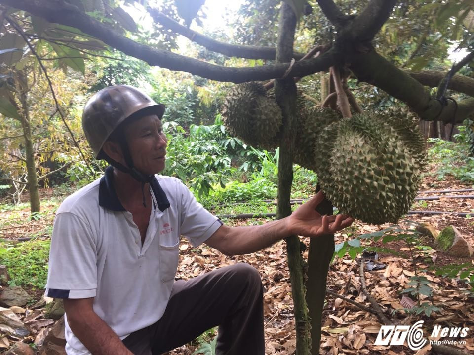 21322777_448631218867624_965092239_n