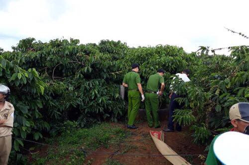 21733279_452073998523346_1737935029_n