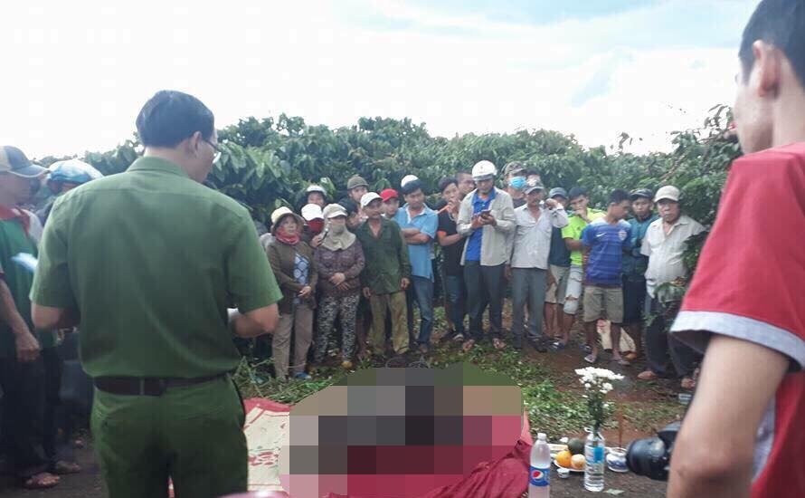 21733155_452372571826822_1936501337_n