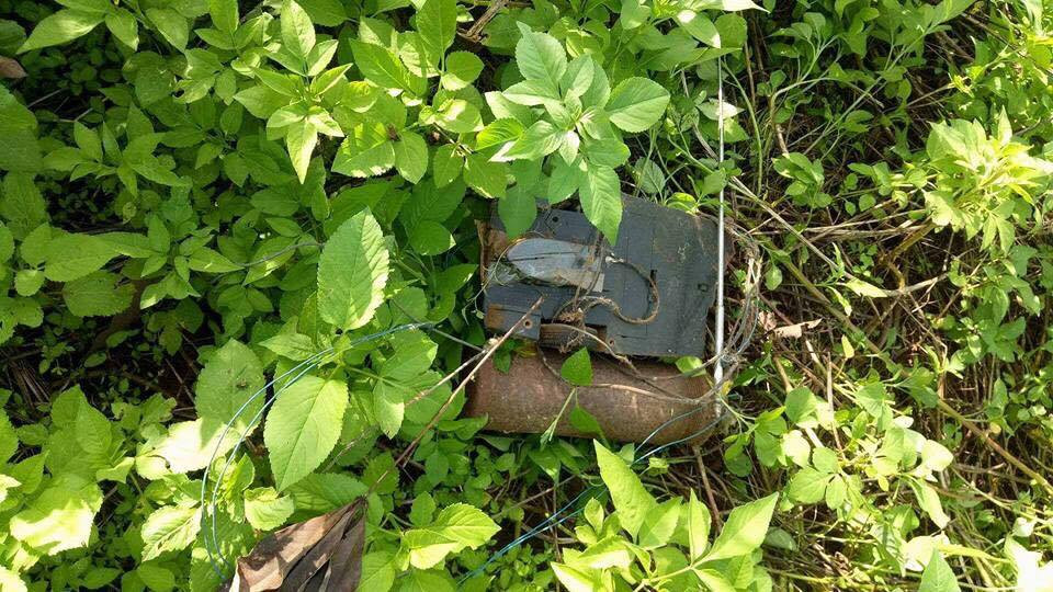 21767453_1477324129019077_253065578_n