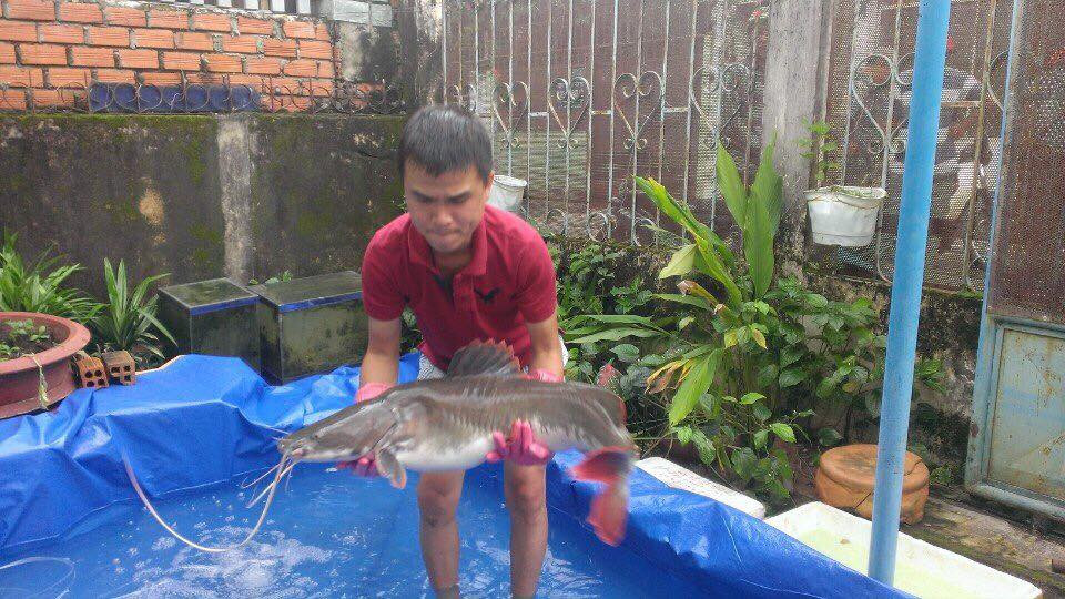 22093512_458919644505448_1171407100_n