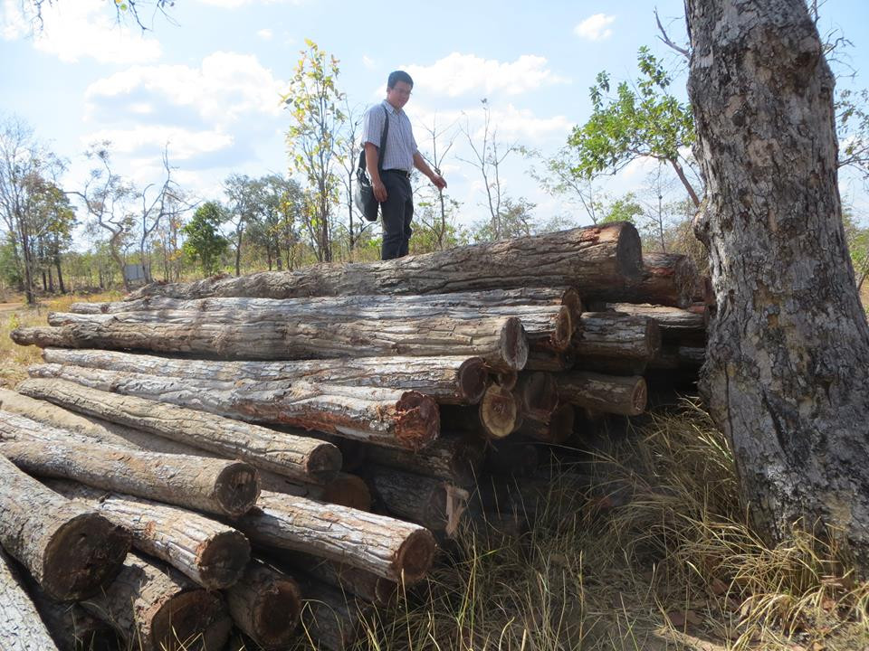 23023883_1486540528125818_1536332294_n