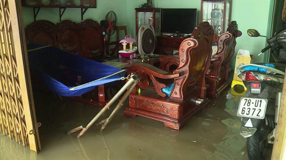 23115072_526468531019086_835783951_n