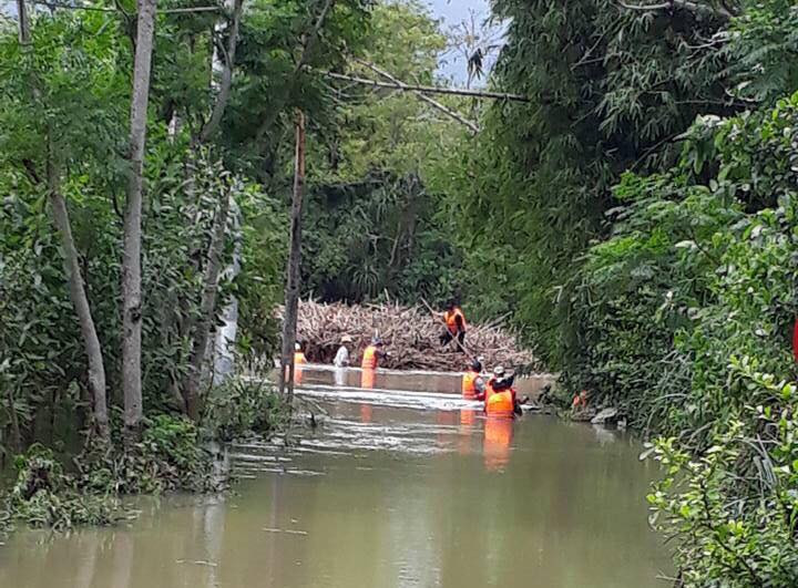 23231718_473035543093858_1275928937_n