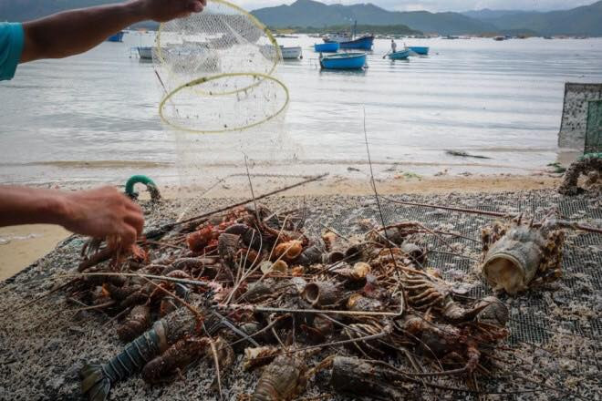 23244131_1521082831302127_2756395064490511127_n