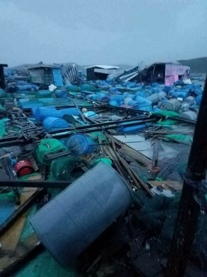 23376194_1520954064648337_2012632319132731259_n 3