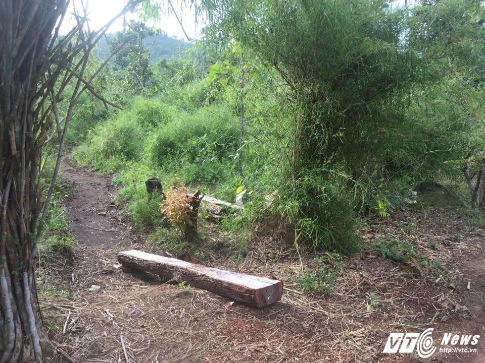 24133570_483706715360074_1538145539_n