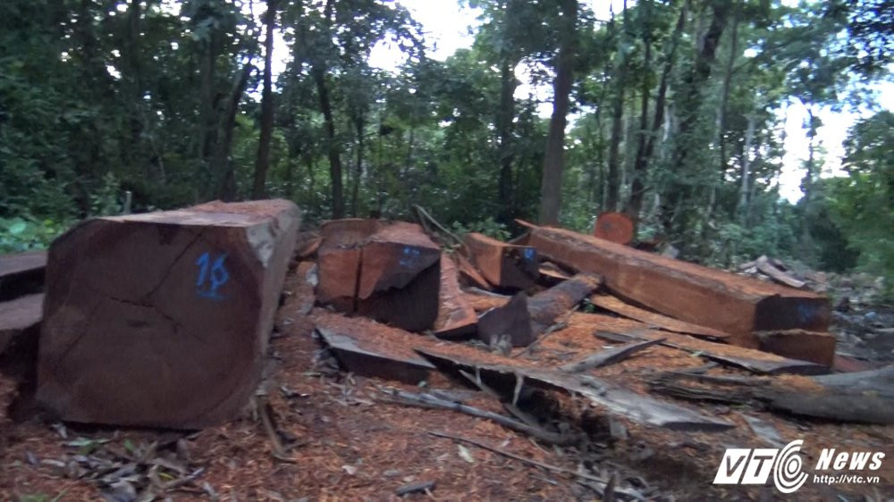 Sequence 01.Still007 6