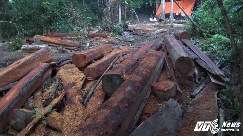 Sequence 01.Still005