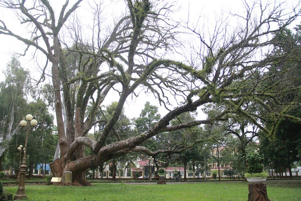 24331451_1530145647098639_791922407_n