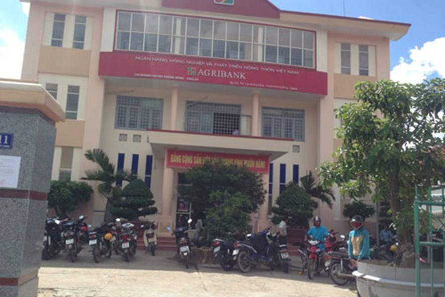 26103118_1442208112562831_1625341594_n