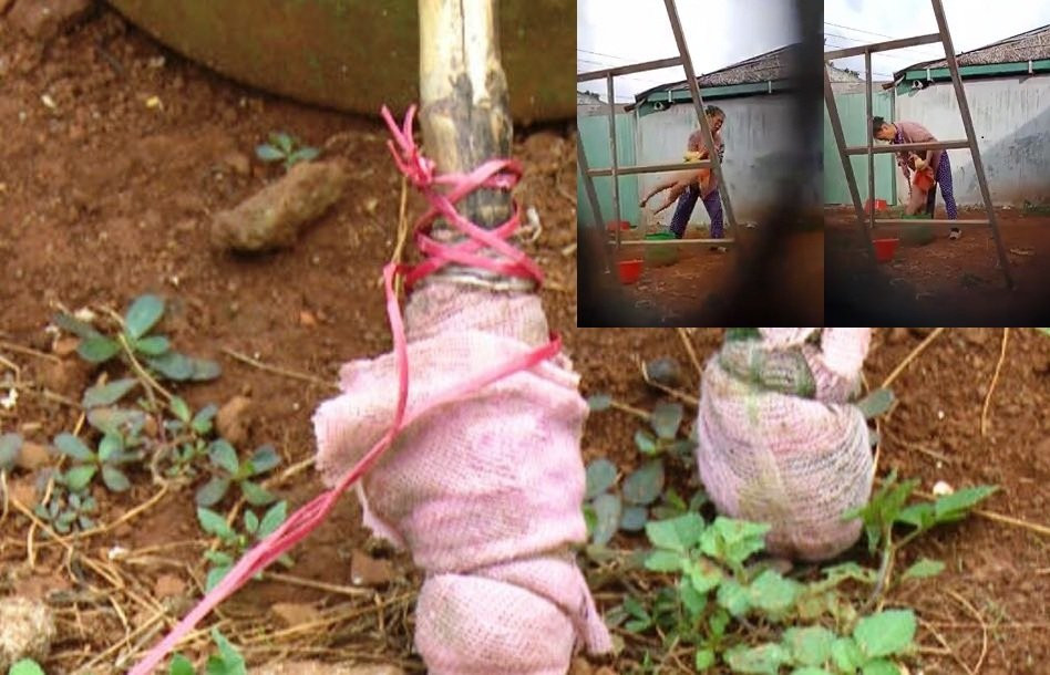 26105418_496582644072481_1592856139_n (1)