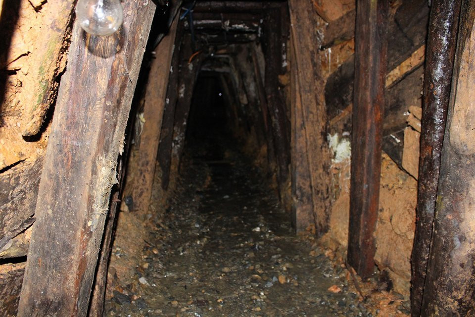 26941076_445128535890337_37653953_n