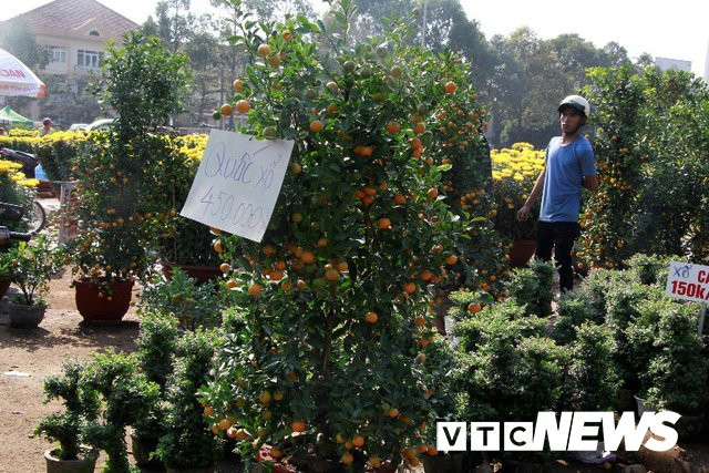 t19-1518686440395908532138 7