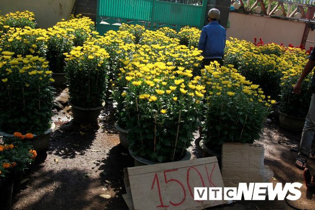 t4-151868644035826968949 5