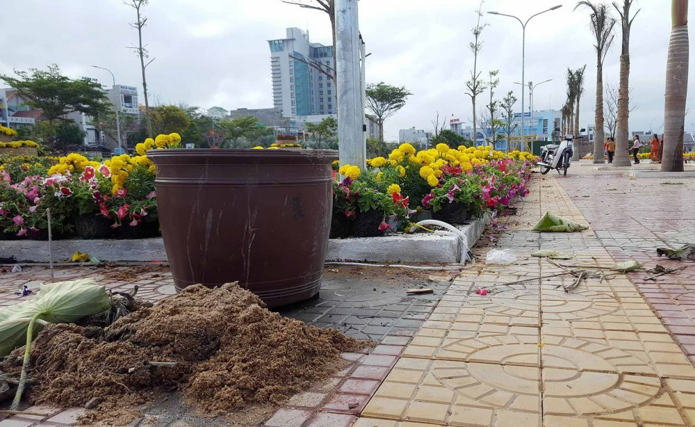 4351_hoi_hoa_Y_Phu_Yen_2