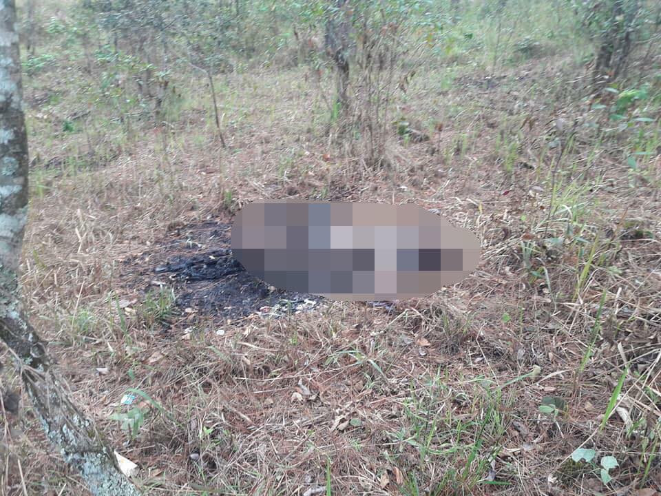 28468182_525337477863664_4575333073772880695_n