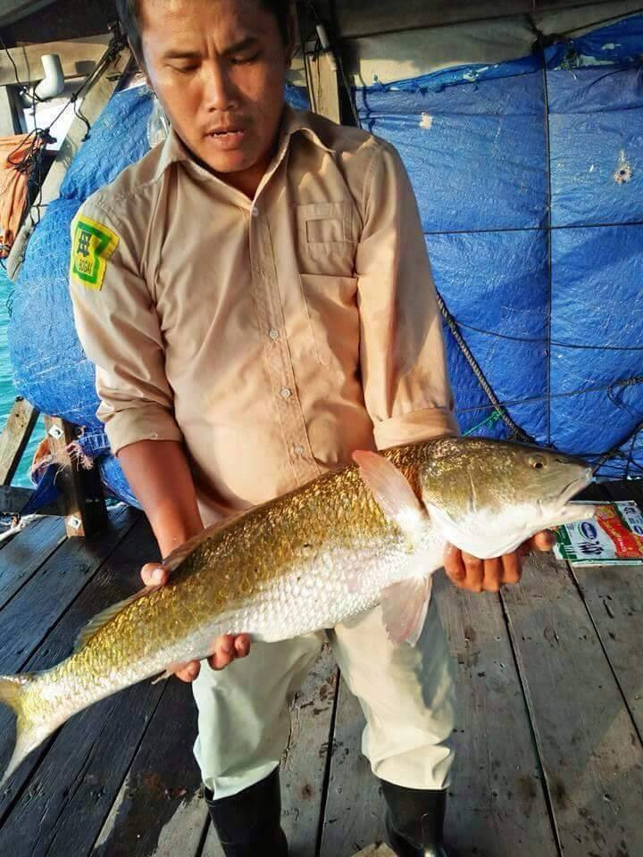 29244696_1348000062010185_850881034777001984_n