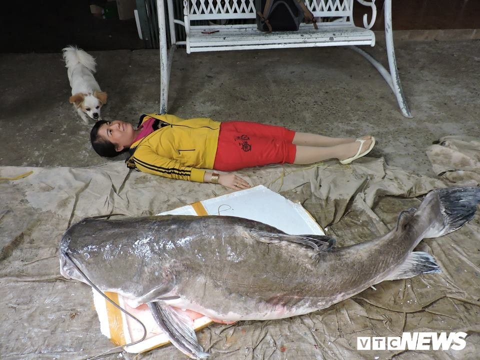 29852556_1234507530015744_1694959715_n 4