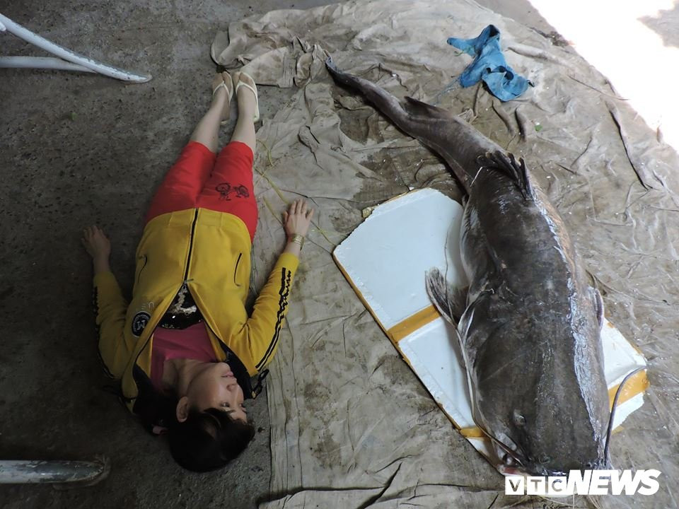 29855254_1234507696682394_1370008101_n