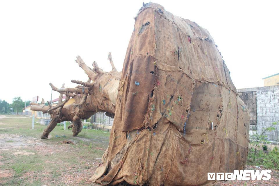 29920731_539967886400623_1506154276_n-4-2352573