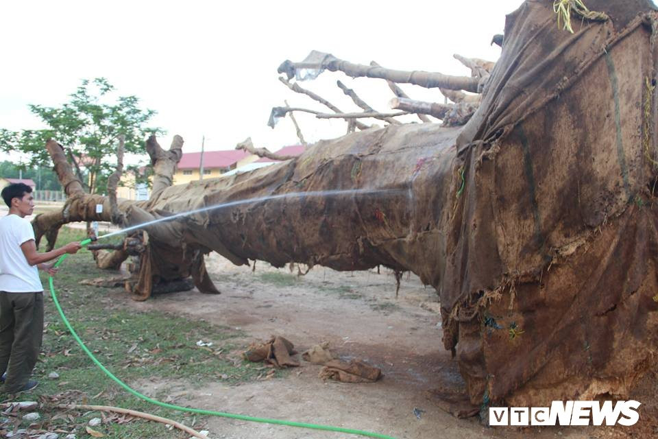 30121055_1540508522725218_1955117045_n-1328549-5-2356029-1352305 4