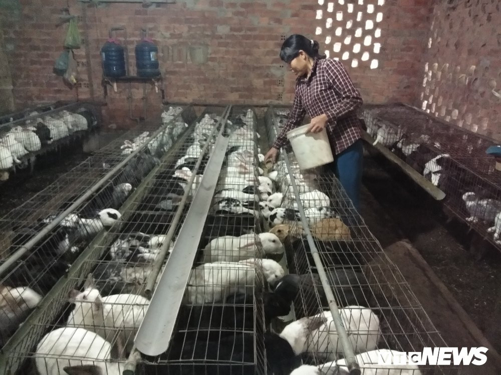 IMG_20171230_164329 3