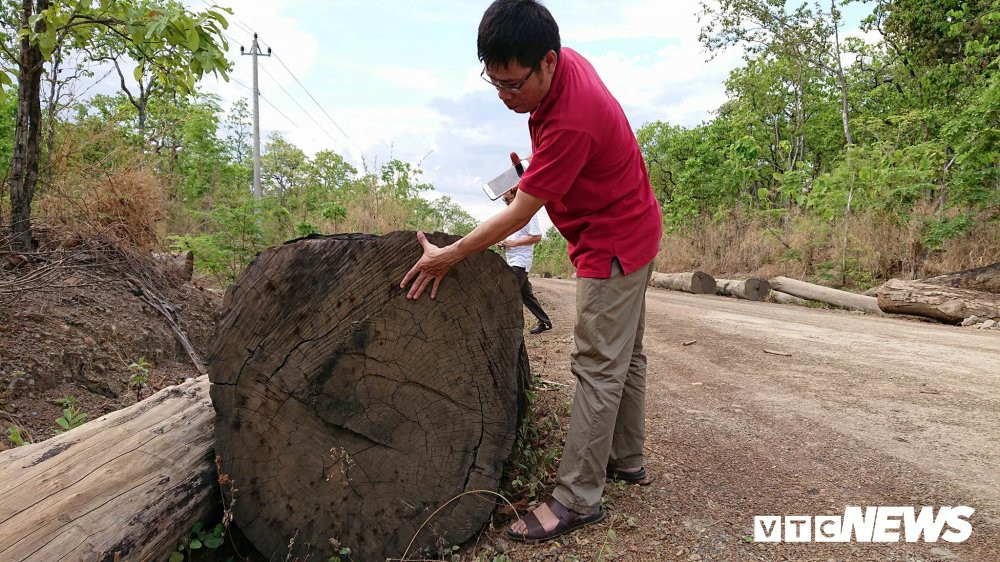 31384193_1252316121568218_6818330135100391424_n