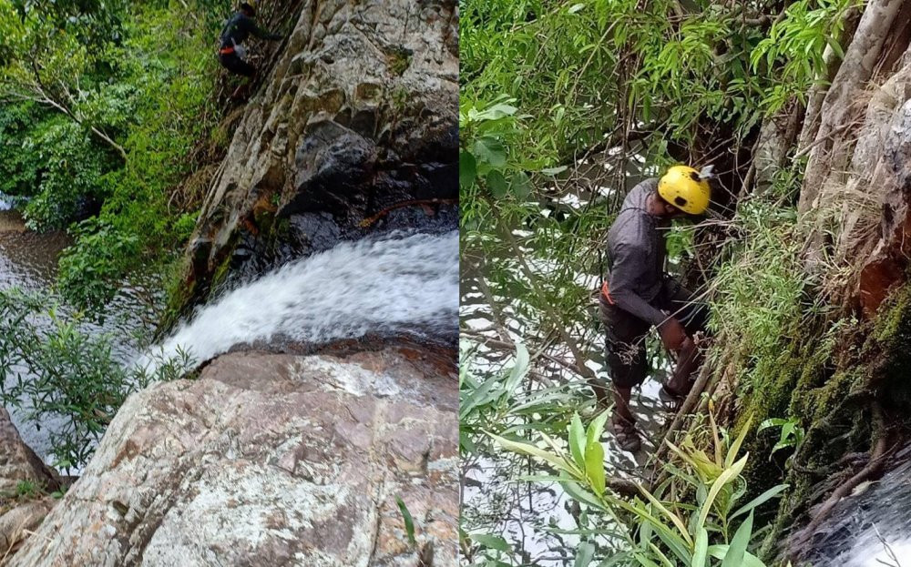 32984748_10204676409866636_5190857822807523328_n