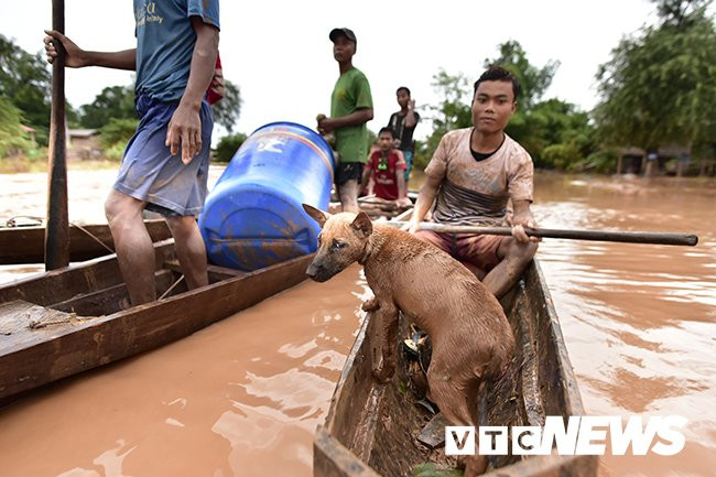 3-1532608815-width650height433 3