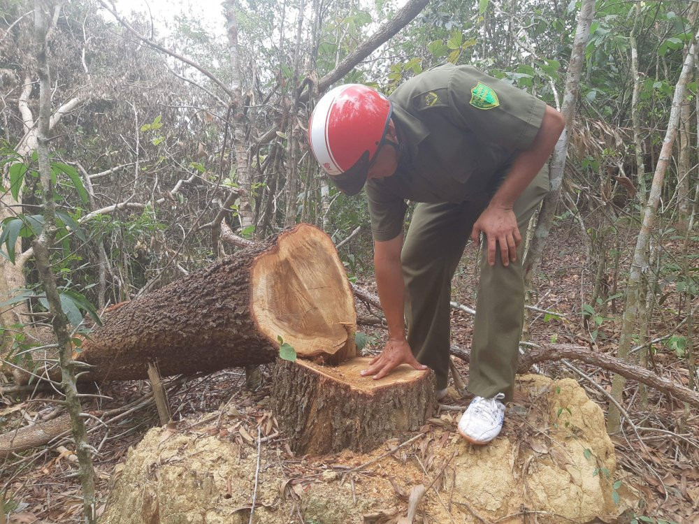 received_868999646639229