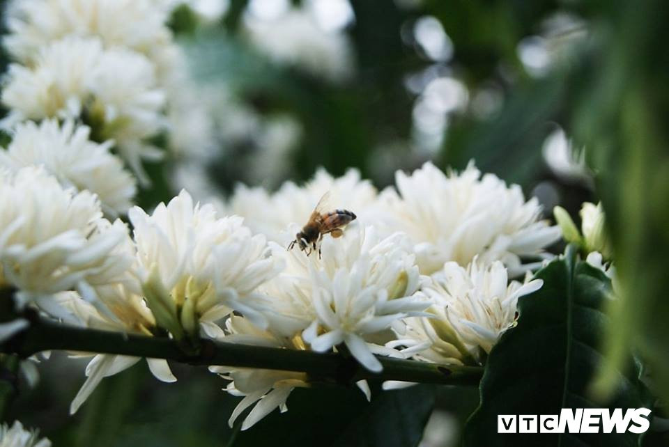 52922911_2093357800782564_7198905181449224192_n