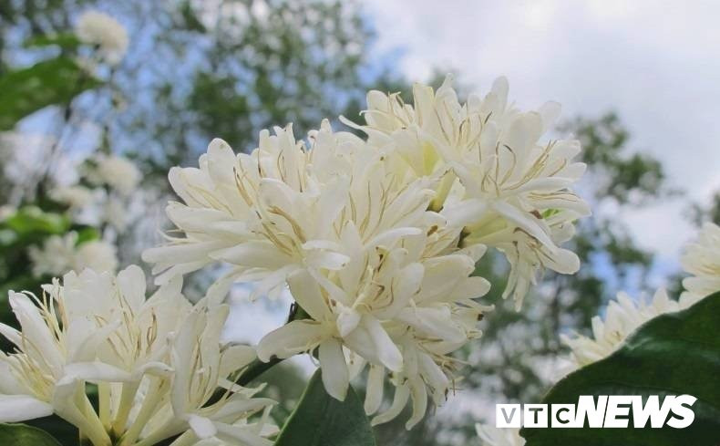 52983605_2093357900782554_2691406471098269696_n