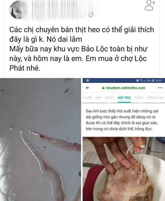 52948713_2312049779026789_4934818363978285056_n