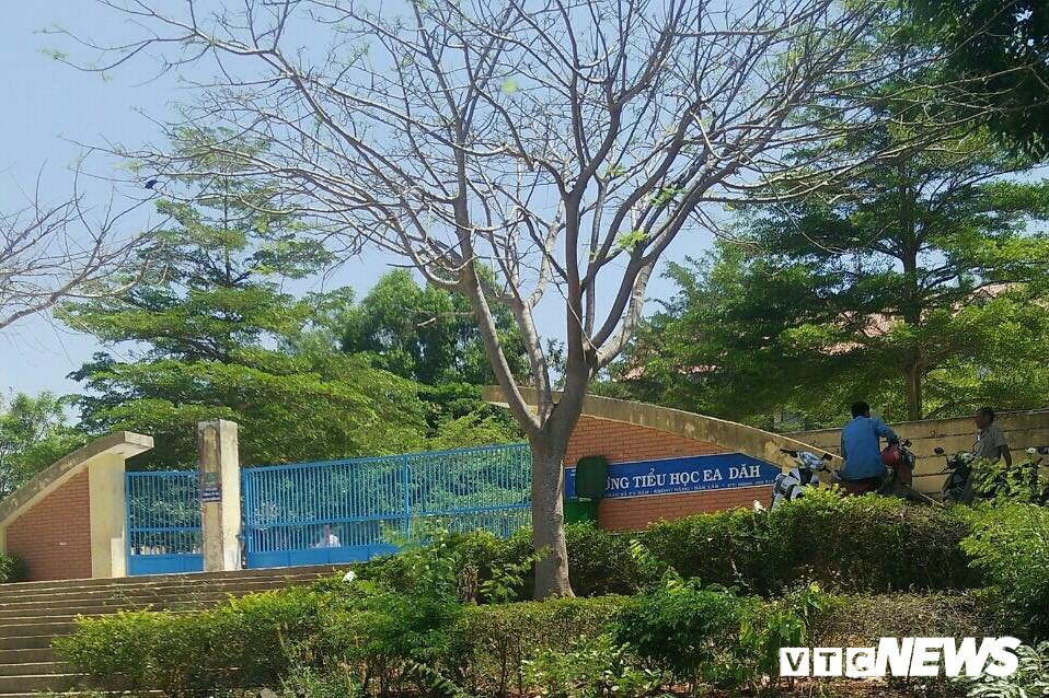 truong-hoc-eadah