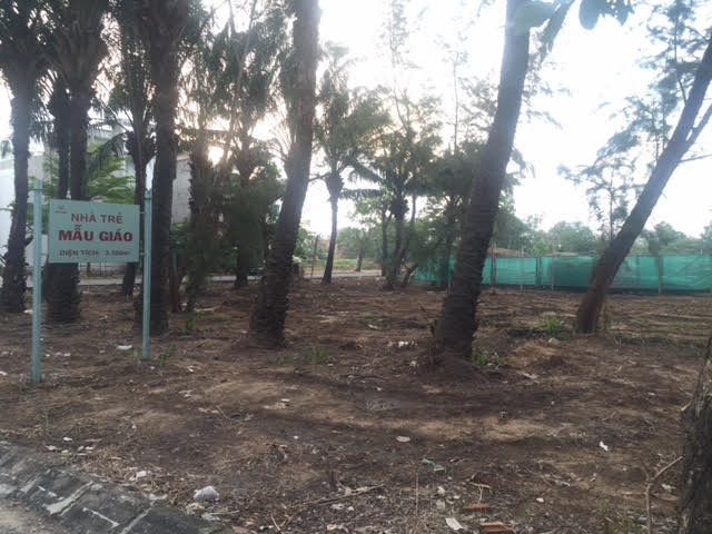 Hinh anh TP.HCM: Kiem tra viec dau tu ha tang ky thuat, cong vien cay xanh